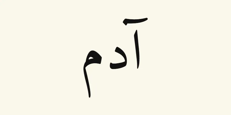 The name Adam in Arabic, آدم, in black Naskh lettering from the Amiri font on a cream background