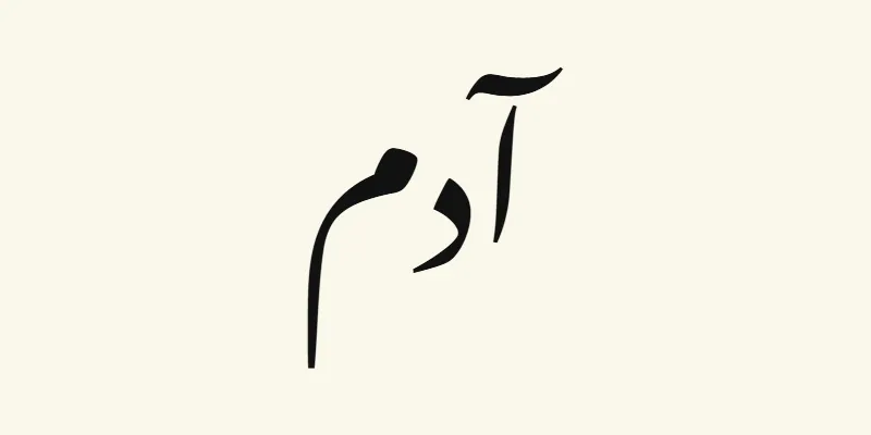 The name Adam in Arabic, آدم, in black sloping Nastaliq lettering from the Noto Nastaliq Urdu font on a cream background