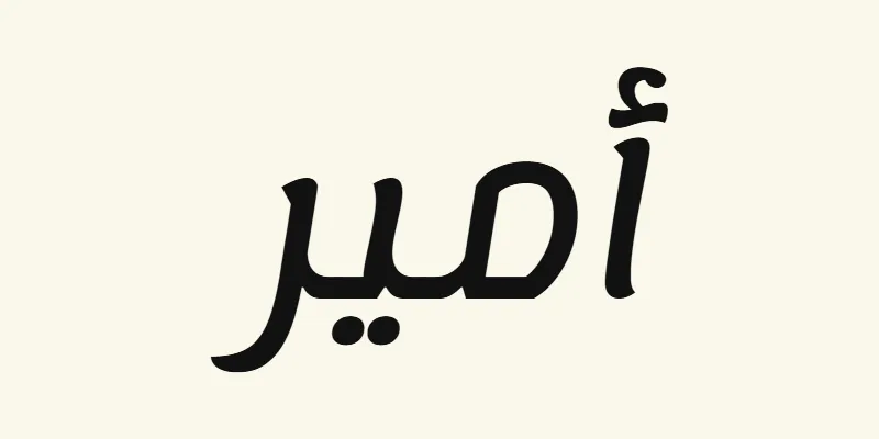 The name Amir in Arabic, أمير, in black rounded modern lettering from the Lemonada font on a cream background