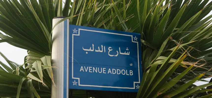 Blue street sign reading شارع الدلب in white Arabic letters above Avenue Addolb in Latin capitals, framed by palm fronds