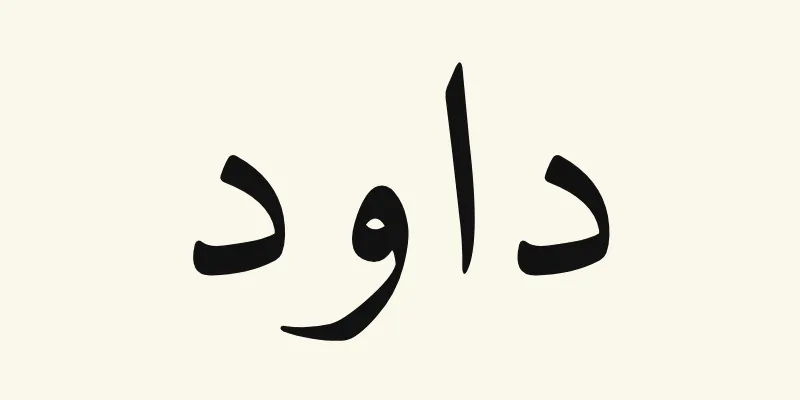 Der Name David auf Arabisch, داود, in schwarzer Naskh-Schrift aus der Schriftart Amiri auf cremefarbenem Hintergrund