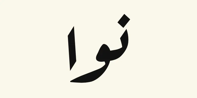 Der Name Noah auf Arabisch, نوا, in schwarzer schräg geneigter Ruqah-Handschrift aus der Schriftart Aref Ruqaa auf cremefarbenem Hintergrund