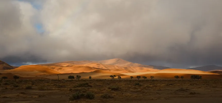Golden Sahara sand dunes under a heavy, clouded sky
